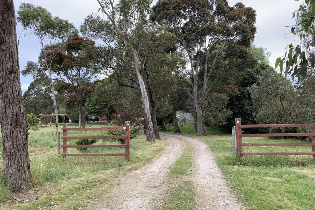 Willunga Cottage — Sweet Country Retreat Lyndhurst Dış mekan fotoğraf