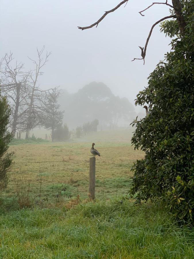 Willunga Cottage — Sweet Country Retreat Lyndhurst Dış mekan fotoğraf